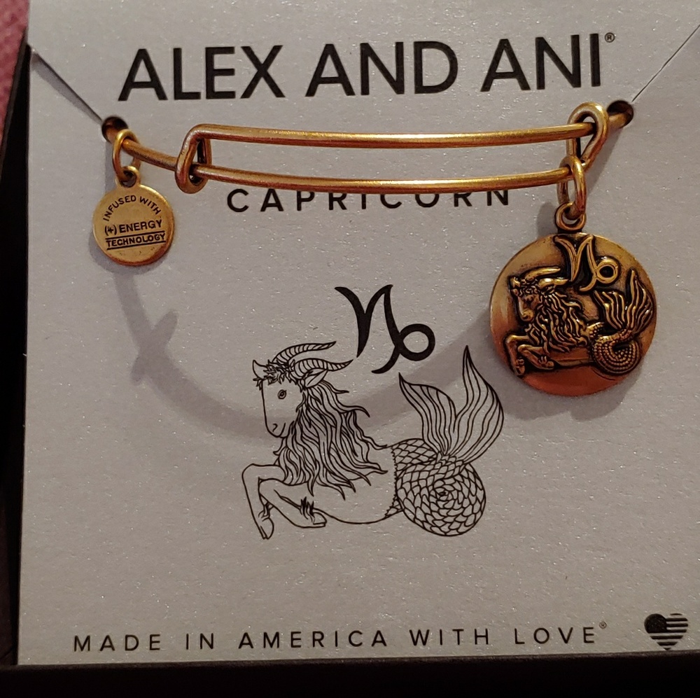 Alex and Ani Capricorn gold bangle